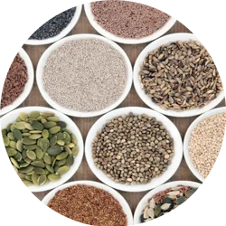 Super   Foods