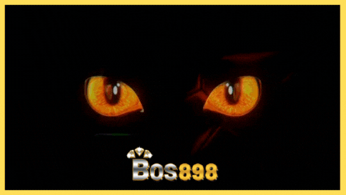 BOS 898 BOS 898